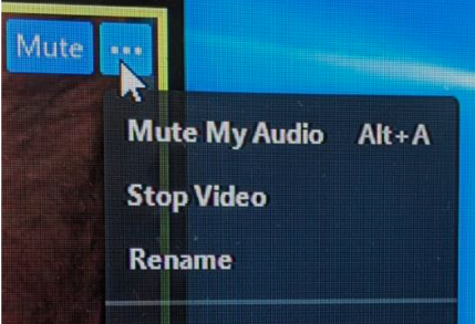 rename in view window